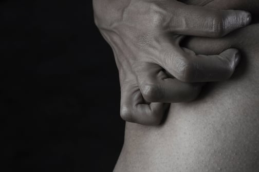Albany Chiropractor